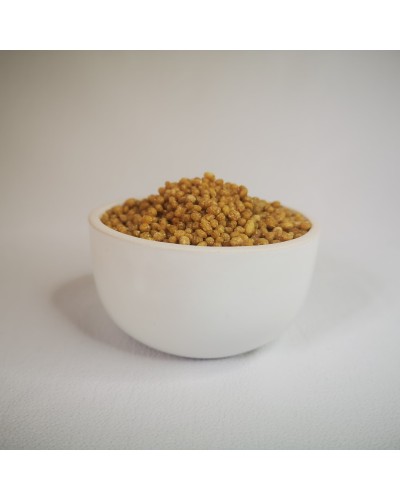 MAFTOUL DE PALESTINE- UAWC - Fipsouk, Le Philistin