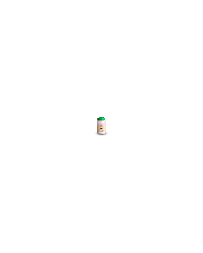 Carton de 24 pots de Tahiné 450g