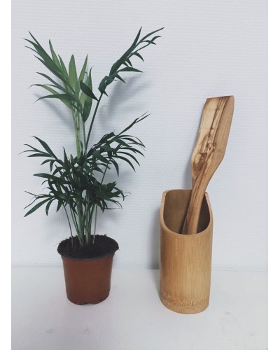 Spatule droite et longue en bois d'olivier