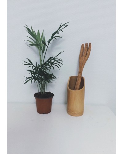 Fourchette en bois d'olivier