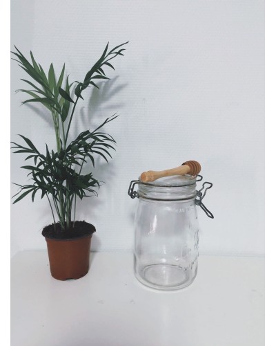 Cuillère à miel en bois d'olivier