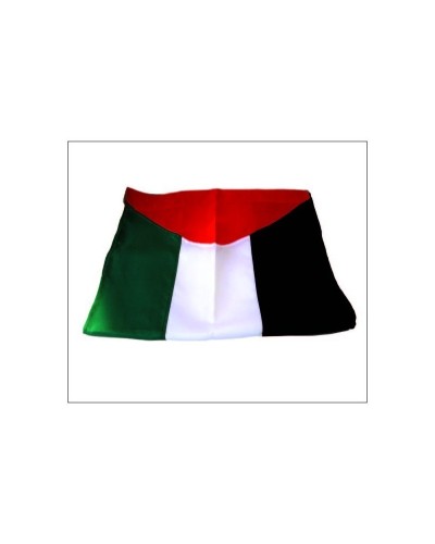 Drapeau de Palestine